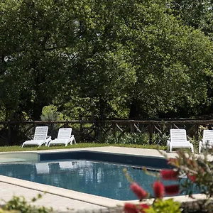 agriturismo-le-baccane.it-tuscanyhotel.com/